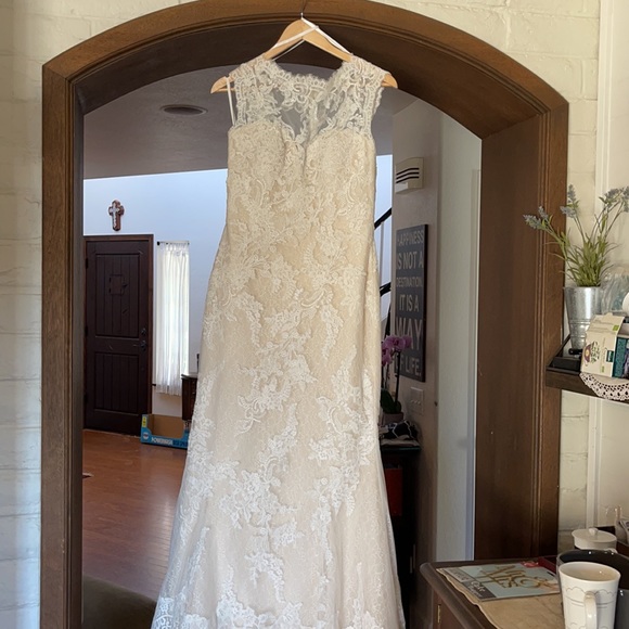 Pronovias ETQ - VESTIDO Elegant Mermaid gown crafted in rich Beautiful lace. - Picture 15 of 15